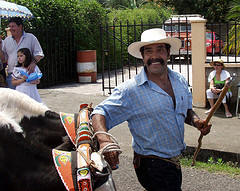 Costa Rican boyero - Ox Cart Driver at Parade
