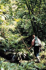 Walking, Backpacking and Hiking in Costa Rica