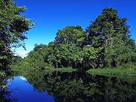 A canal near Tortuguero Park in Costa Rica. This is an area of almost stunning beauty